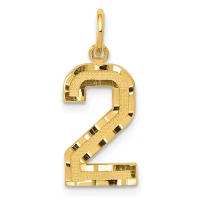14K Yellow Gold Polished Diamond Cut Finish Medium Size Number 2 Charm Pendant