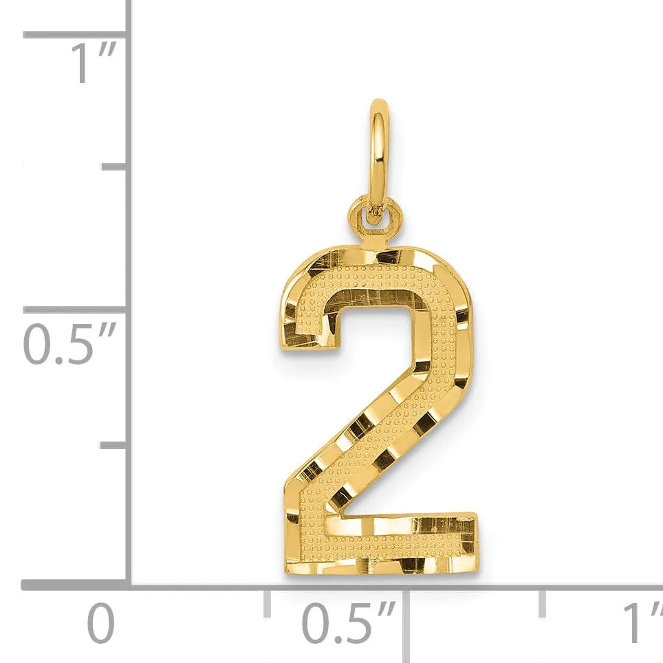 14K Yellow Gold Polished Diamond Cut Finish Medium Size Number 2 Charm Pendant