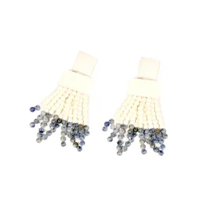 Bone and Lapis Earrings
