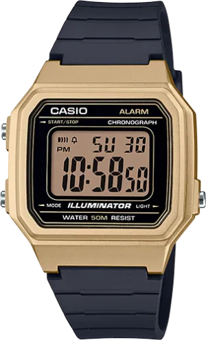 Casio Unisex W217HM-9A