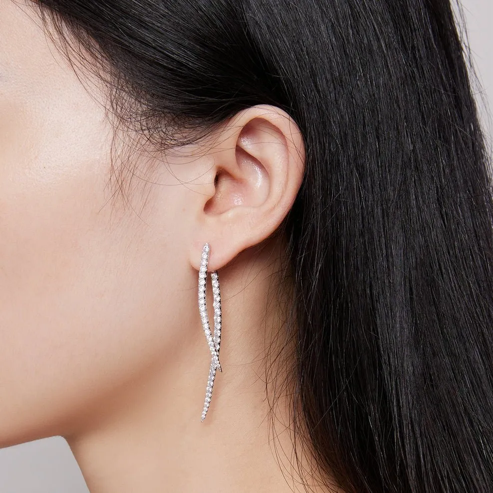 Long Tassel Two Piece Earrings