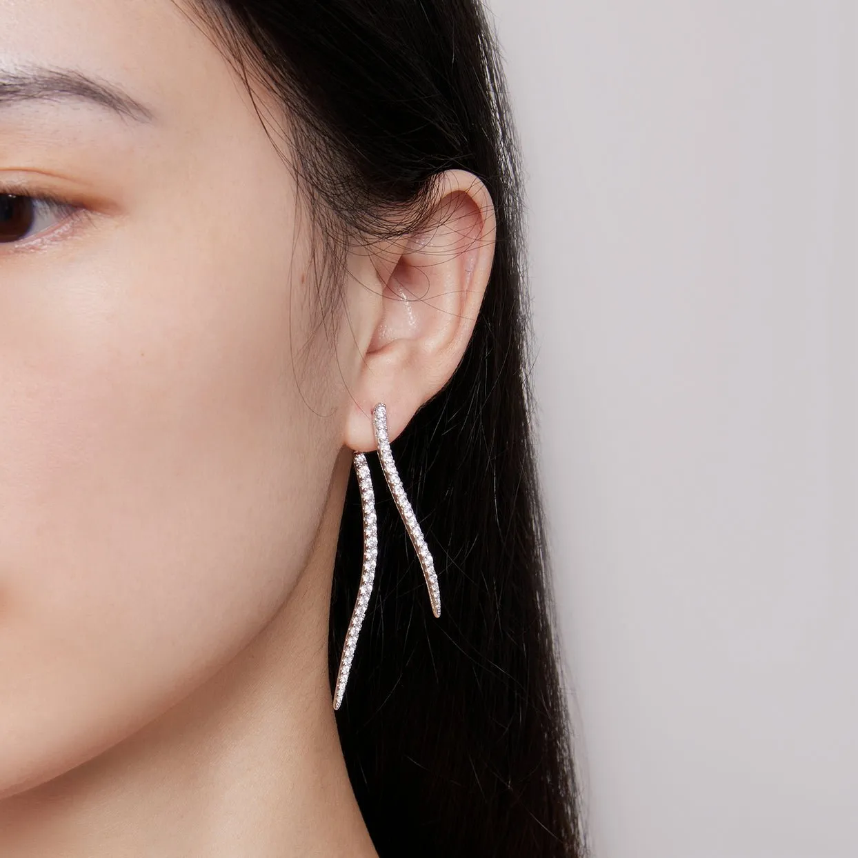 Long Tassel Two Piece Earrings