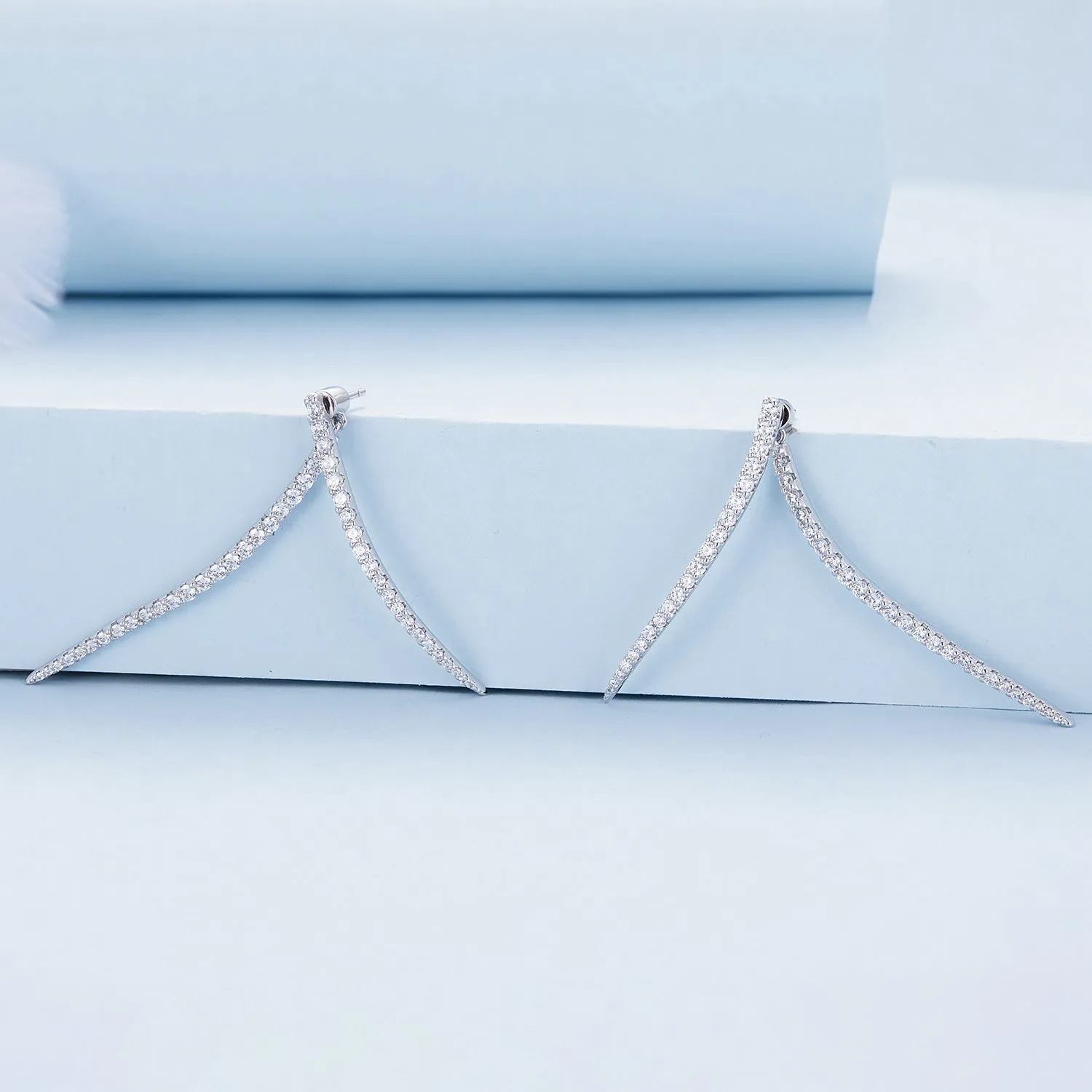 Long Tassel Two Piece Earrings