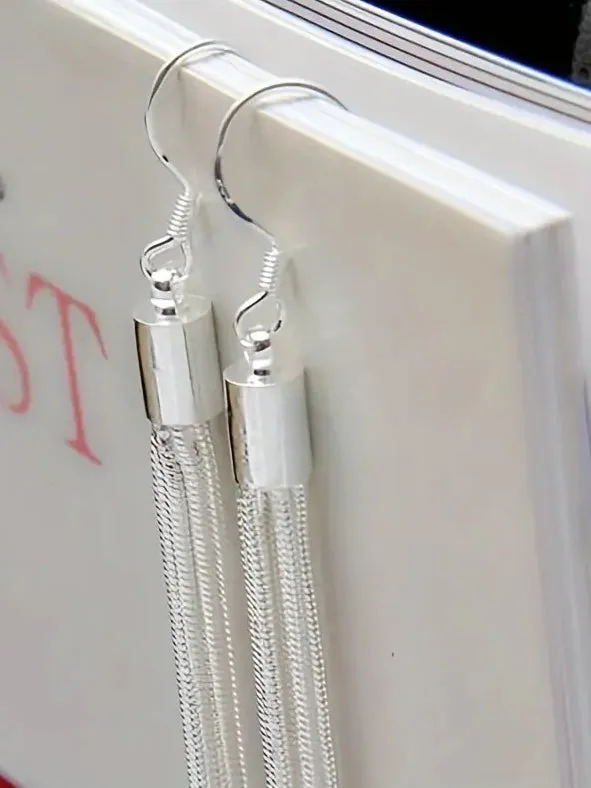 Metal Tassel Earrings