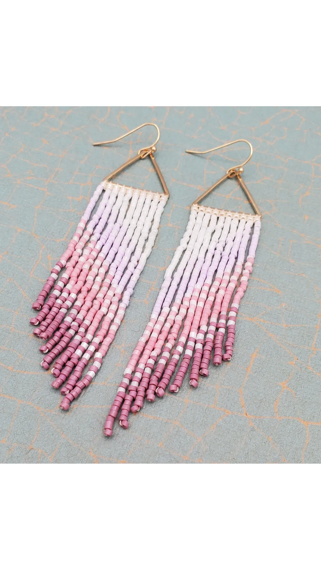 Ombre Tassel Seed Beed Earring
