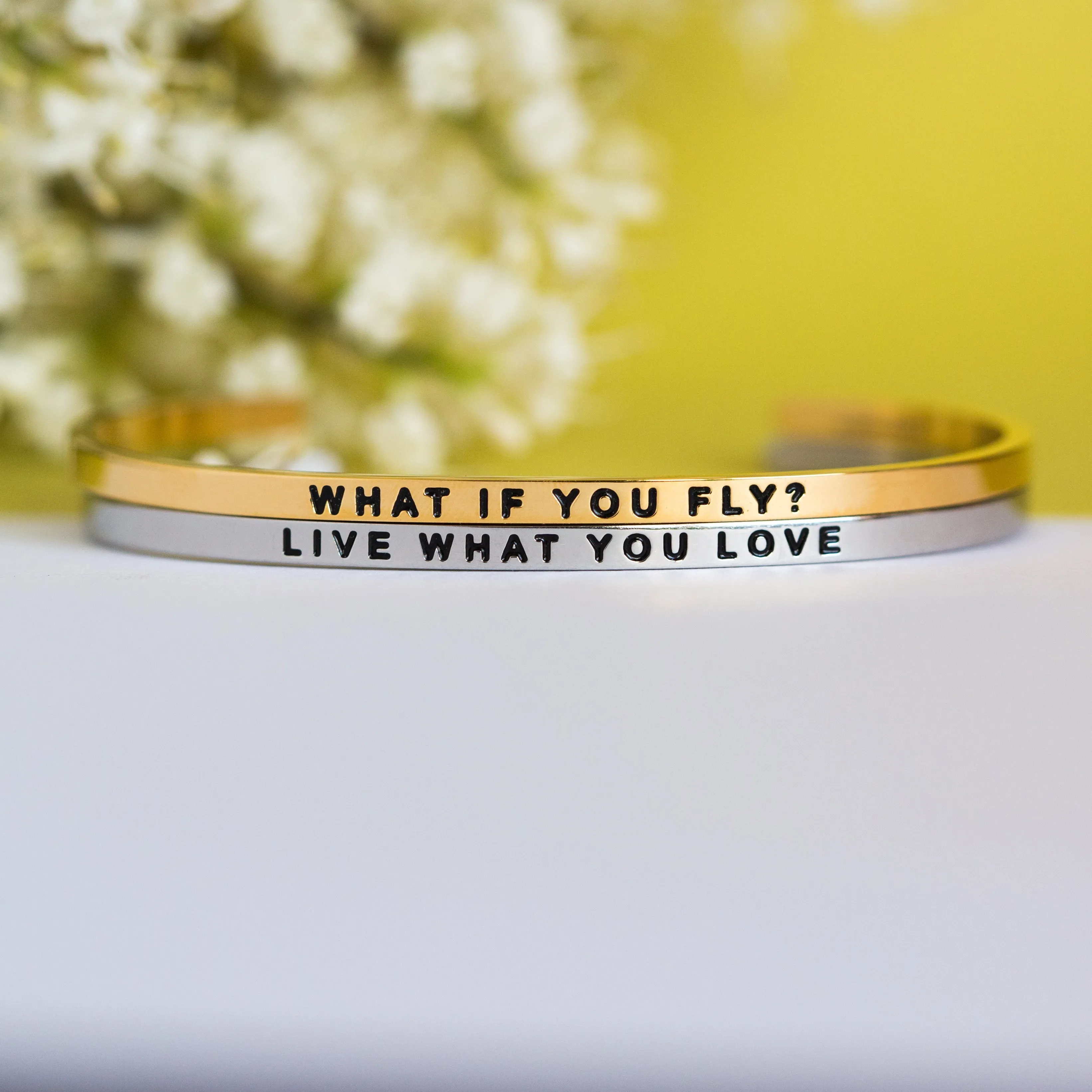 What If You Fly?